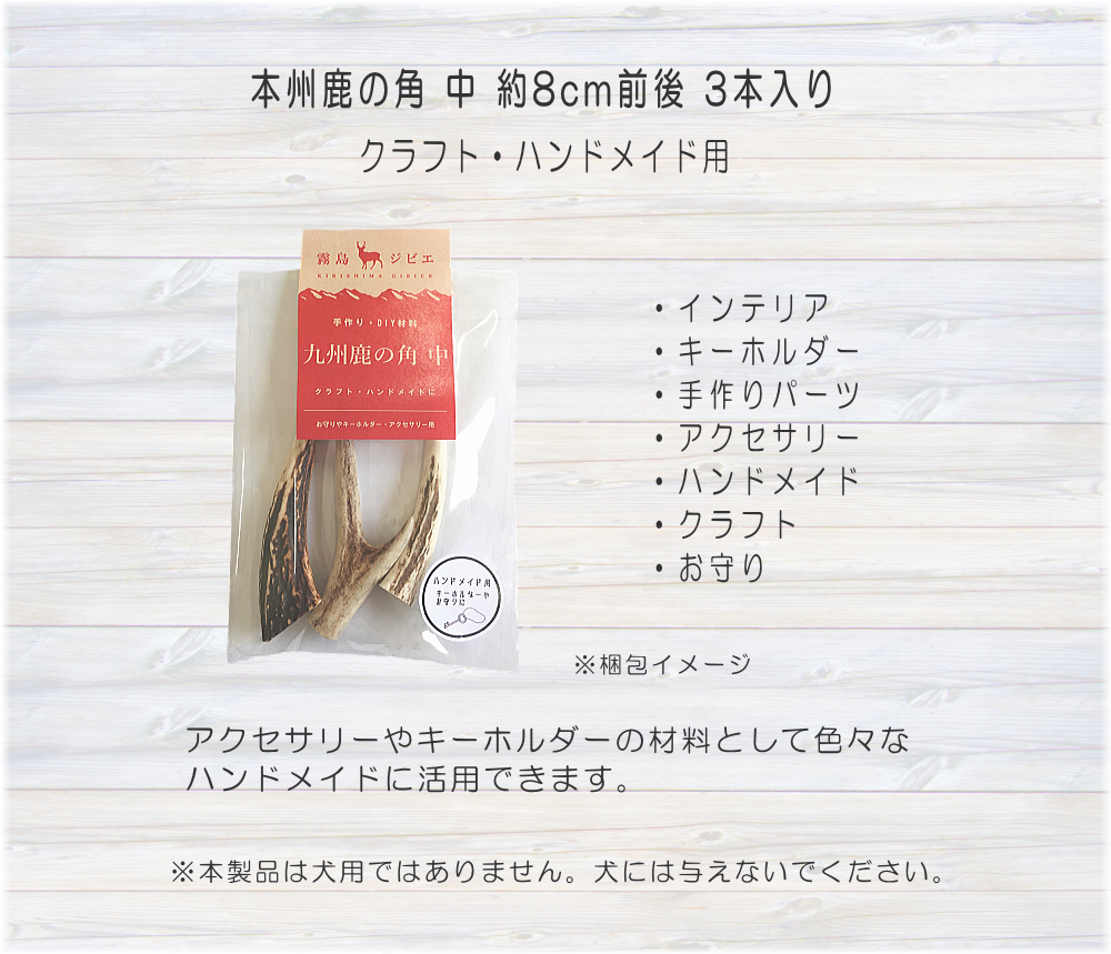 九州鹿の角 中 クラフト・ハンドメイド用 | 霧島ジビエ＜公式＞