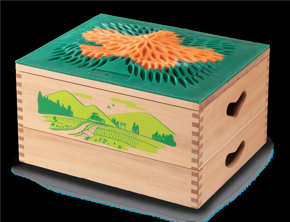 楽らく健康BOX里山散歩 踏み台昇降運動の決定版 | 発明主婦のサンガ