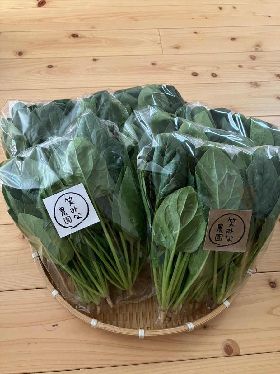 自然栽培ほうれん草 150g×4袋 | きたきた