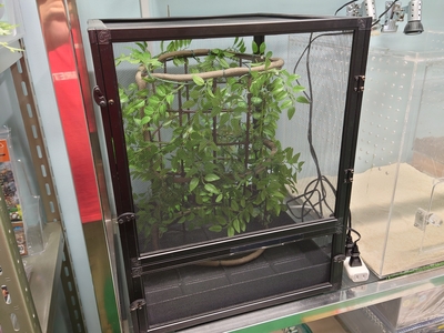 20220617_190939_1655526674831_