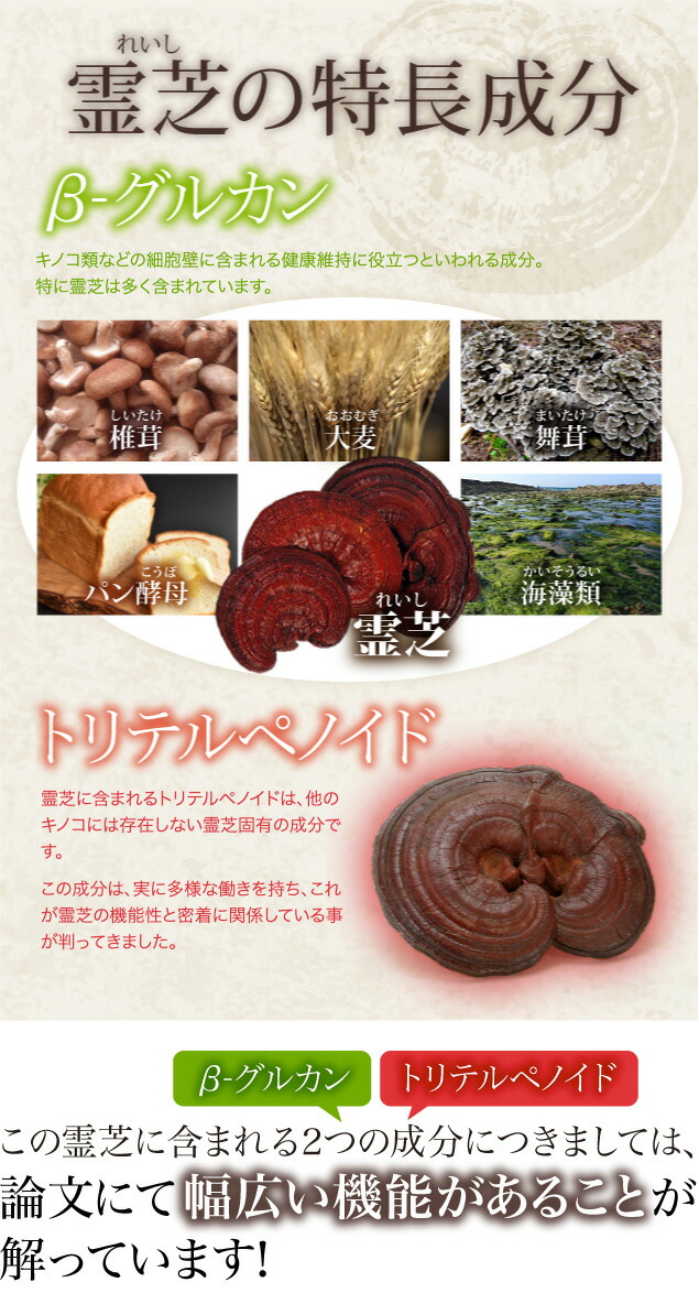 楽天市場】楊貴芝 カプセル粋 1箱120カプセル入り 霊芝 レイシ