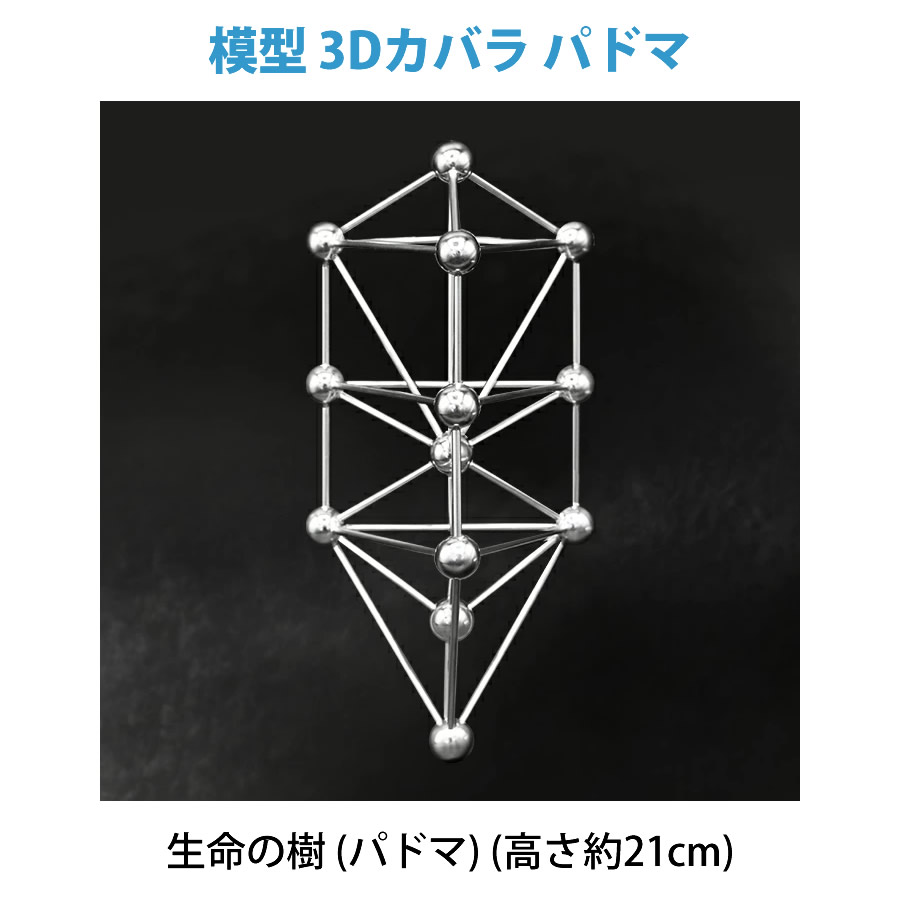 楽天市場】≪ポイント20倍≫【正規販売店】模型 3Dカバラ パドマ