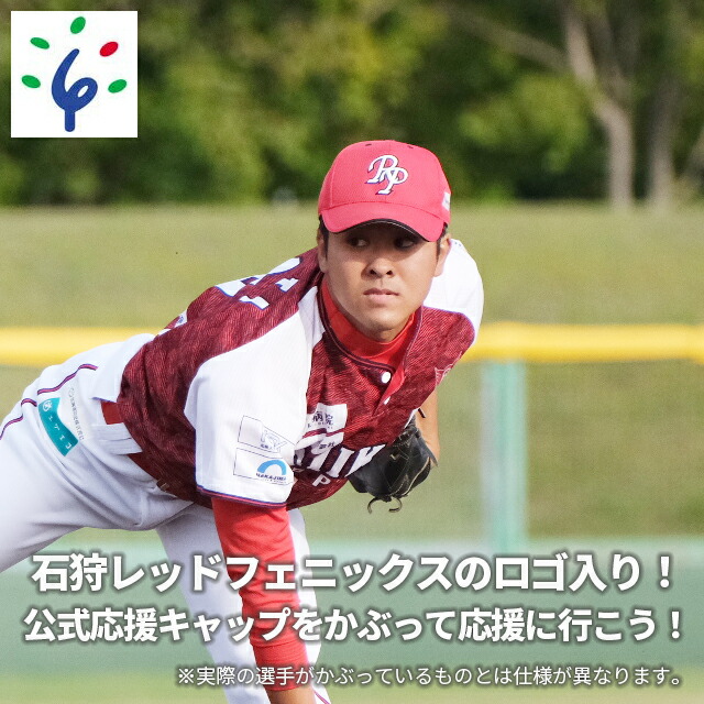 楽天市場】【ふるさと納税】《レビューキャンペーン》地元 野球チーム