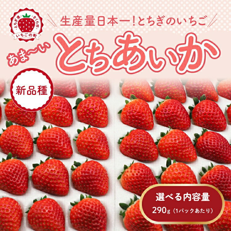 楽天市場】【ふるさと納税】＼選べる内容量／【先行予約】【数量限定