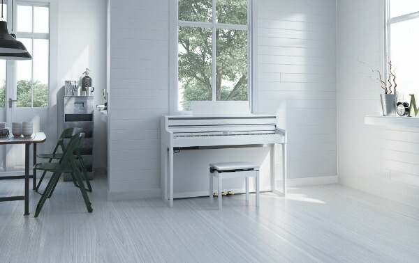 楽天ビック｜【エントリーで最大2万ポイント当たる｜2/25まで】 Roland