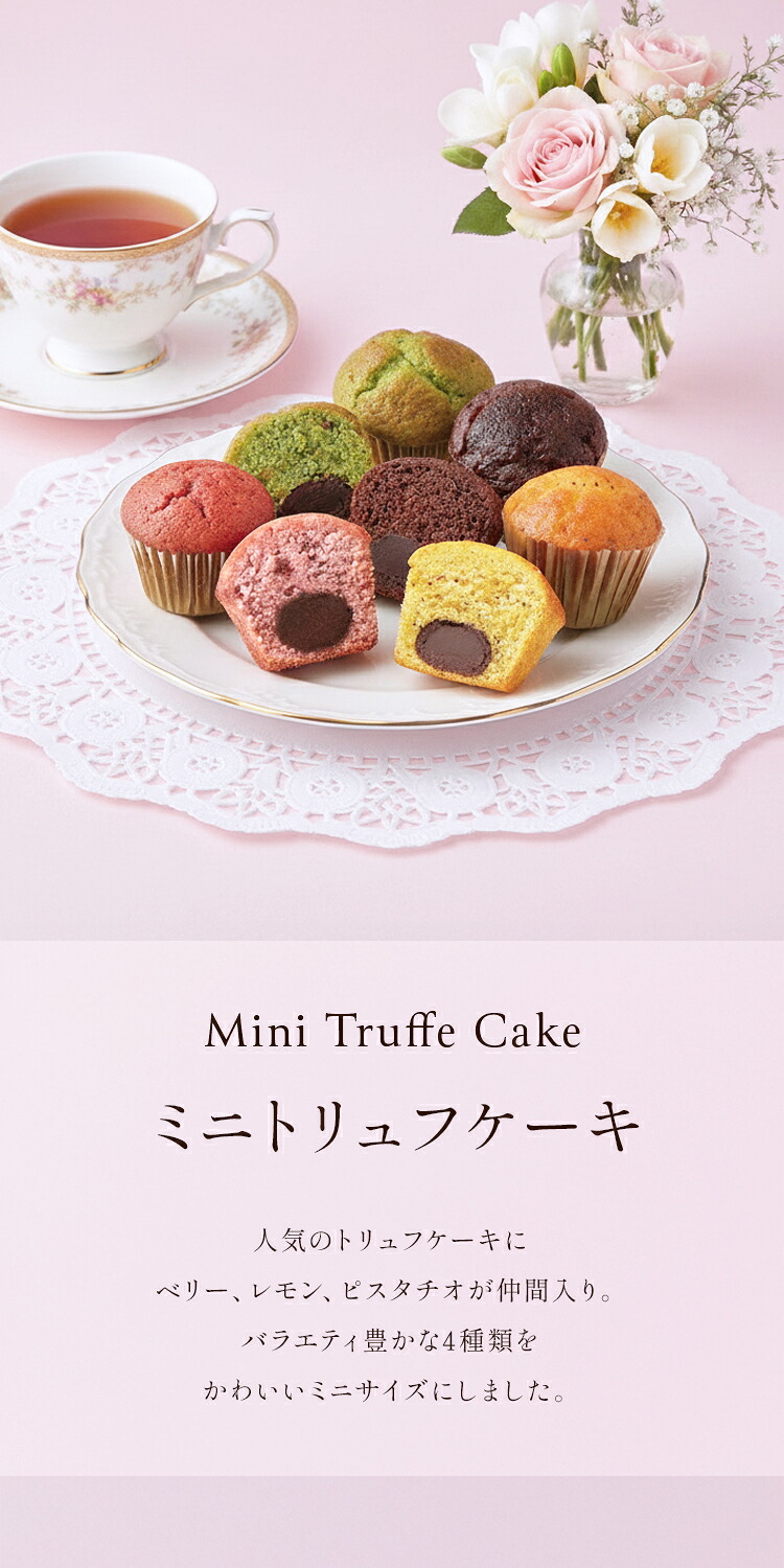 ミニトリュフケーキ16個入り(MTF-C) | ミニトリュフケーキ | ブール