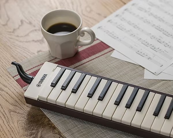 楽天市場】YAMAHA P-37EBR2 ヤマハ 大人のピアニカ ブラウン 茶色