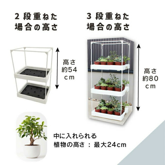 楽天市場】多肉マンション オフホワイト 園芸 園芸用小物 多肉 多肉