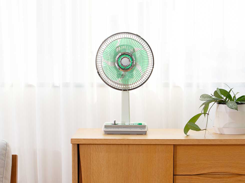 楽天市場】＼楽天スーパーSALE！／【メーカー公式】 25年製 コイズミ