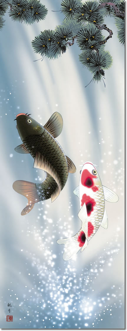 端午の節句画掛軸-夫婦滝昇鯉/森山観月(尺五)床の間 和室 高級 掛け軸