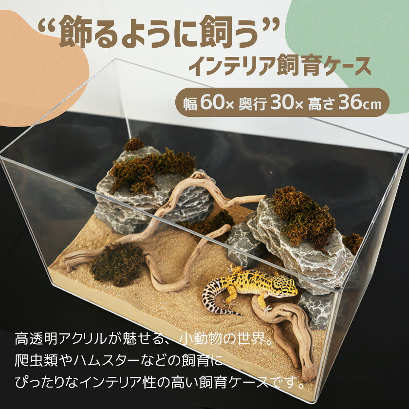 アクリル製 飼育ケージ 幅60cm DIY対応 通気設計 レプタイル 小動物用
