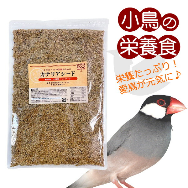楽天市場】無添加 カナリアシード 500g 小鳥のエサ インコ 文鳥 などに