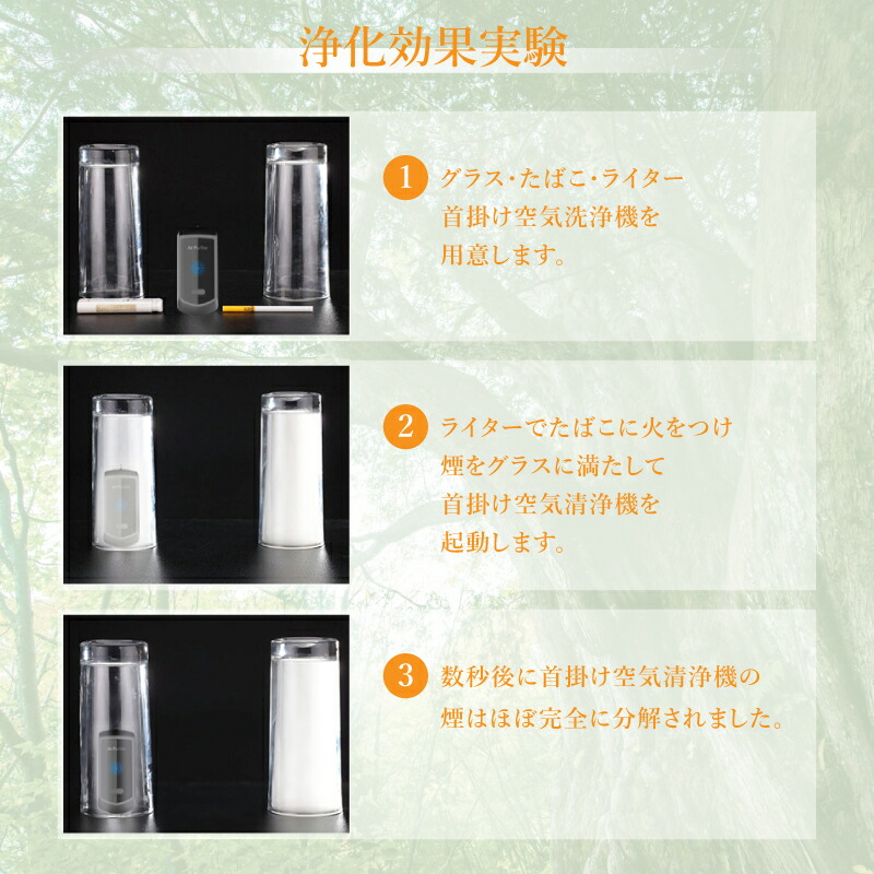 送料込み本物新品未使用未開封ウィルス防御花粉症対策に 首掛け式小型