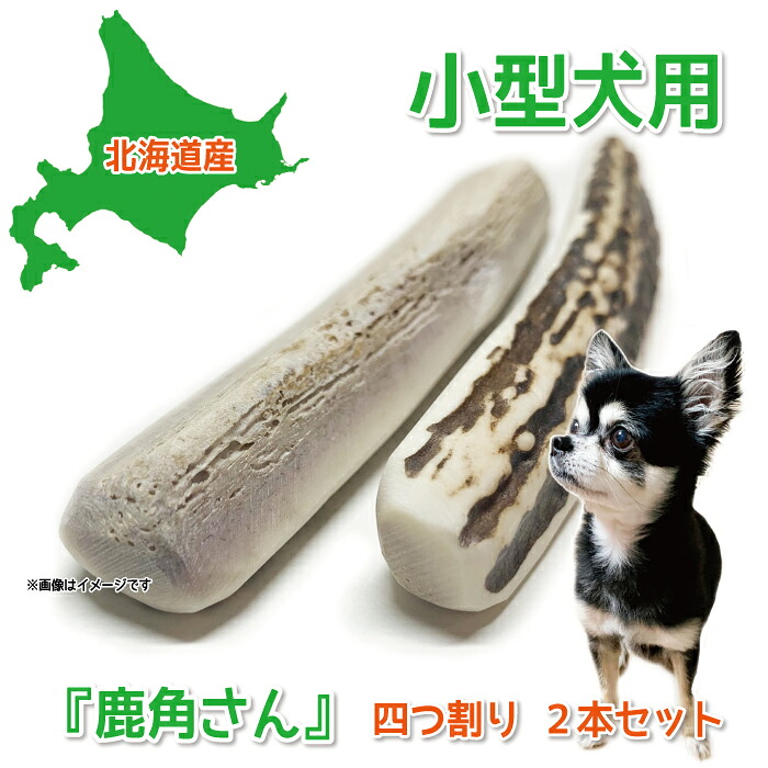 楽天市場】【大型犬用 蝦夷鹿の角】『鹿角さん』半割り 1本 サイズ（長