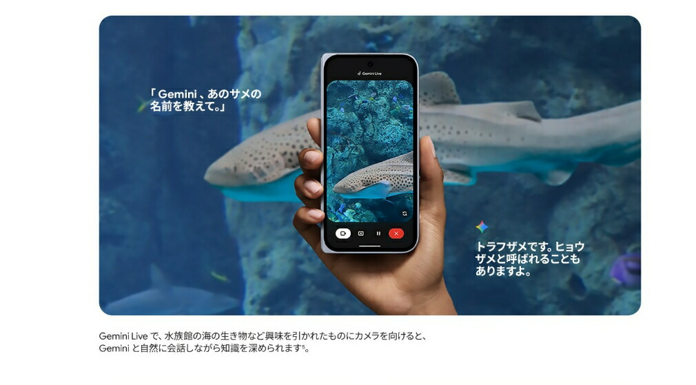 楽天市場】「新品 未開封品」SIMフリー Google Pixel 10 Pro Fold