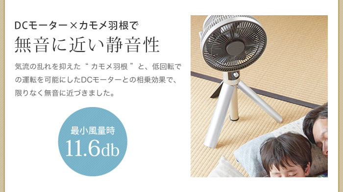 インテリアショップ roomy カモメファン Fシリーズ 20cm