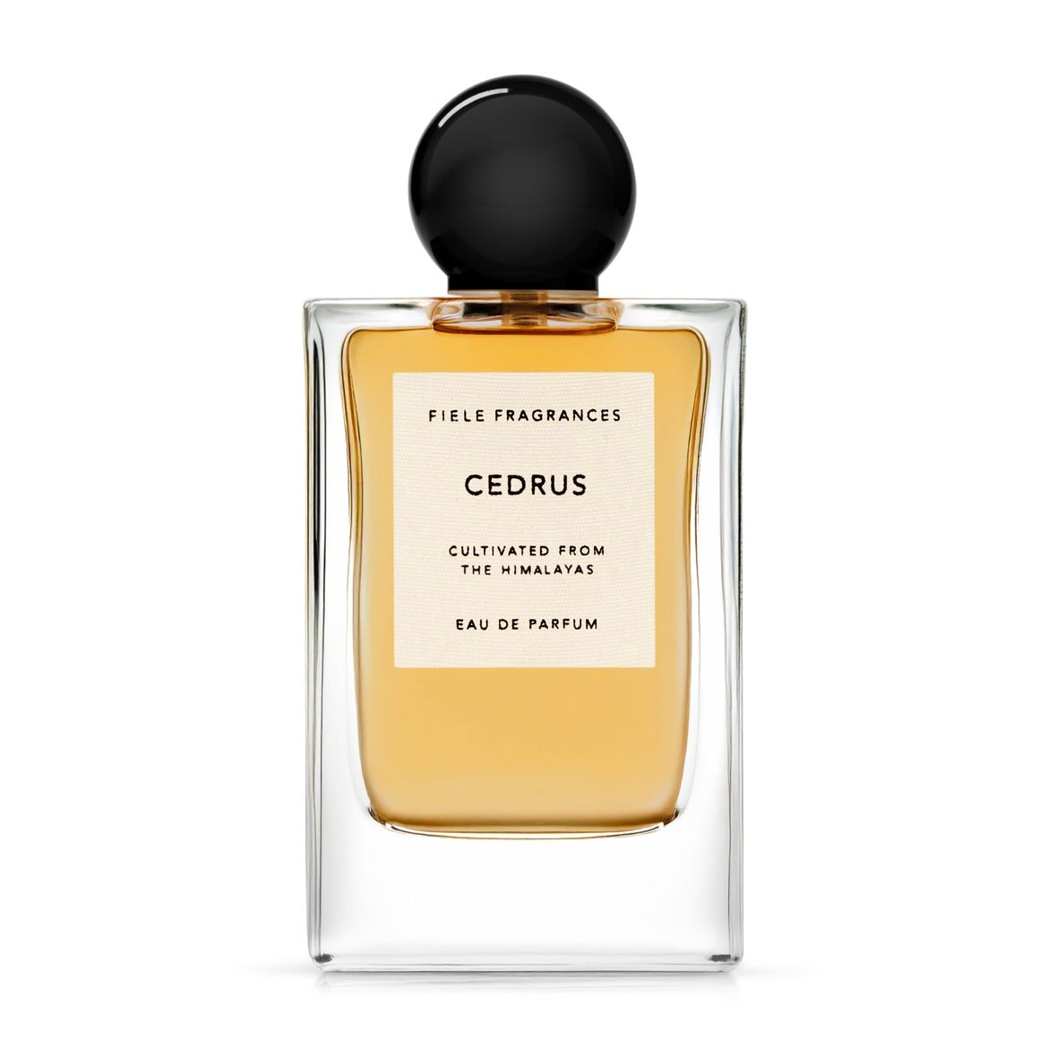 FIELE FRAGRANCES - 【残りわずか】Eau De Parfum 50ml(POGOSTEMON