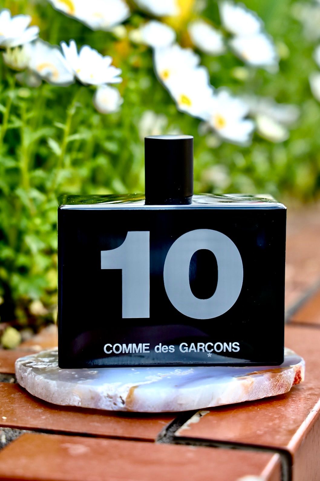 COMME des GARCONS PARFUMS - コムデギャルソン 香水 モノクルヨヨギ