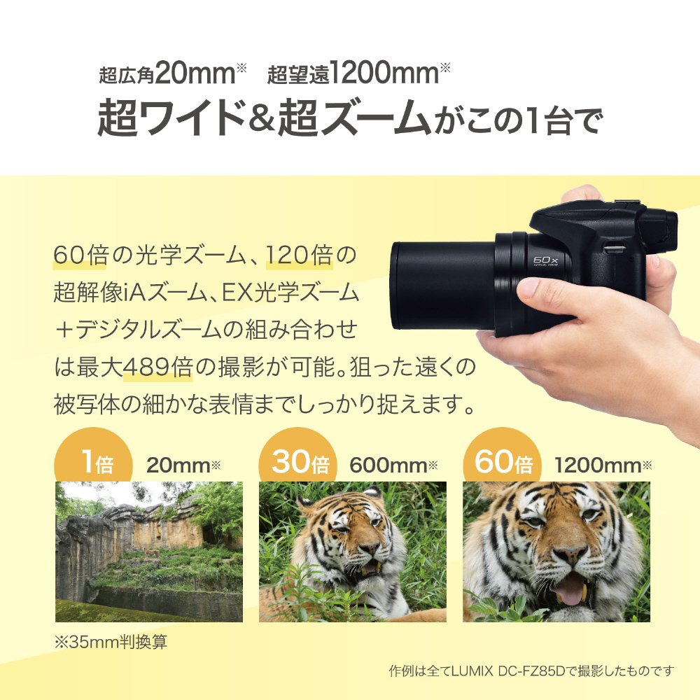 LUMIX FZ85D コンパクトデジタルカメラ ブラック DC-FZ85D-K｜の通販は