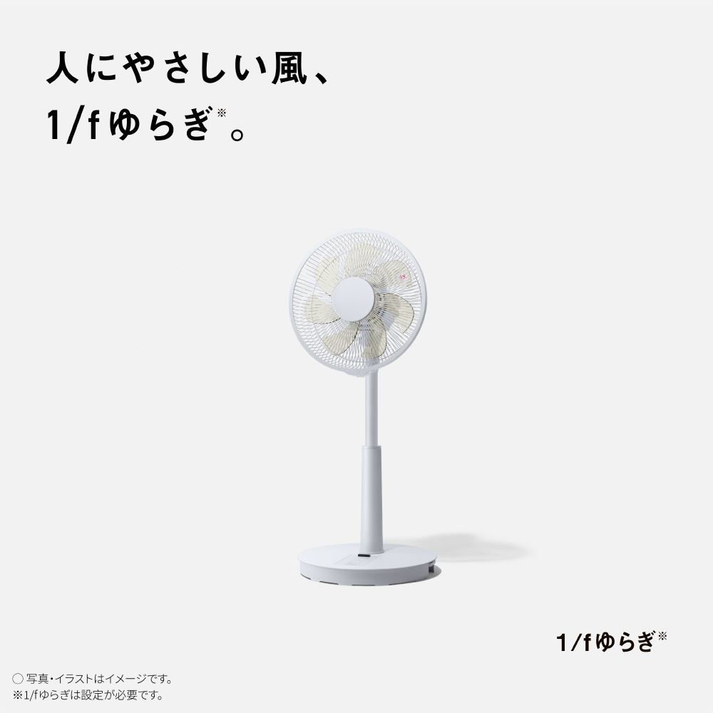 リビング扇風機 ホワイト F-C324B-W ［リモコン付き］｜の通販は