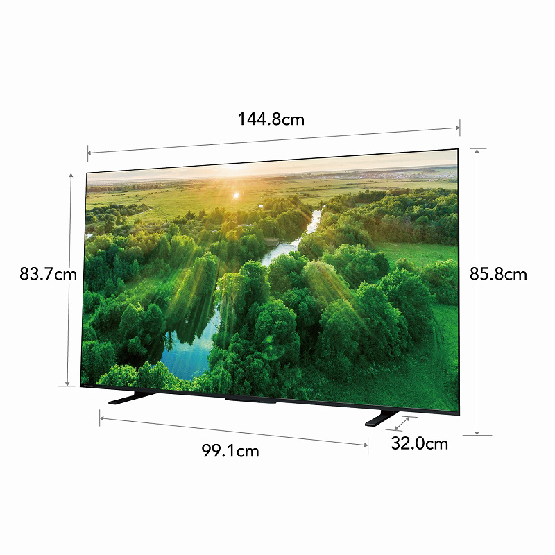 液晶テレビ REGZA(レグザ) 65Z570L ［65V型 /Bluetooth対応 /4K対応