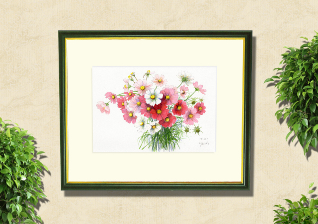 コスモス」水彩画（絵寸210×297・額寸377×454mm）志村好子