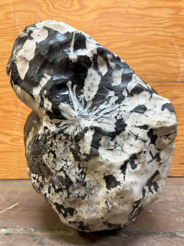 菊花石（きっかせき）の販売なら増樹です。