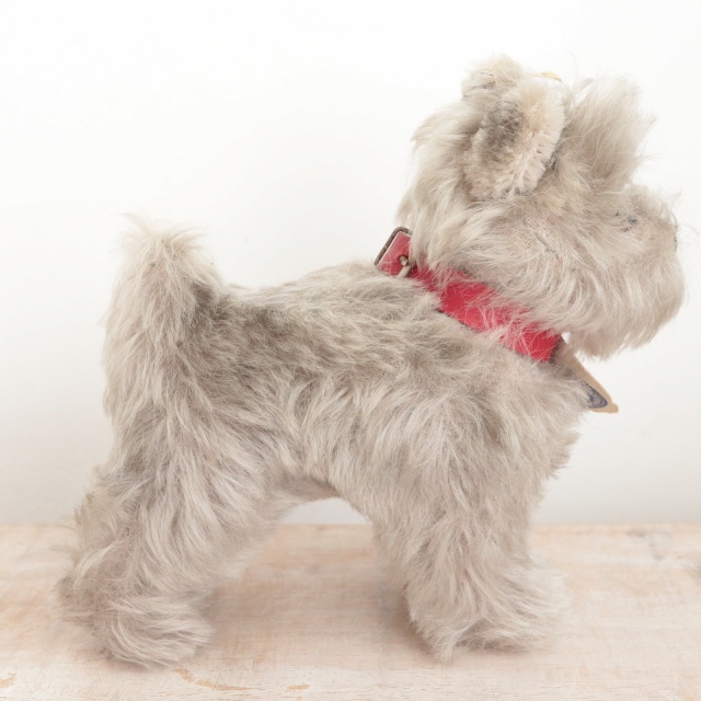 アンティーク シュタイフ シュナウザー Steiff Tessie 14cm