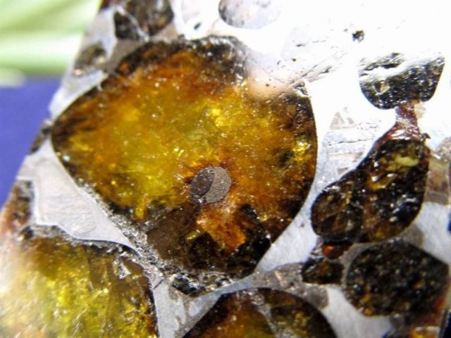 セリコ隕石 パラサイト隕石 原石 スライスプレート 最大幅約28.3mm 約