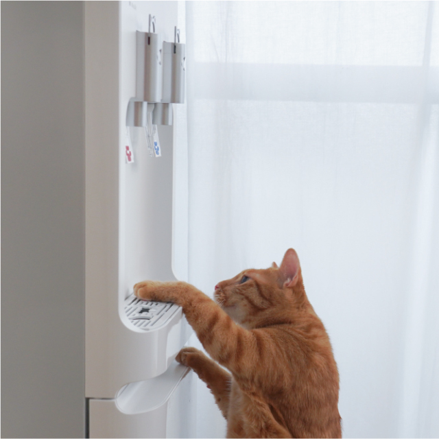 にゃんモデル きせかえセット（目皿：黒） | コスモウォーター会員さま