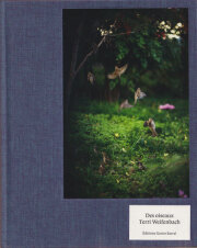 古書古本 dessin：Terri Weifenbach: Between Maple and Chestnut