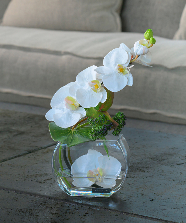 ファレノプシスS-b 胡蝶蘭 高品質 ギフト プレゼント お祝い アーティ