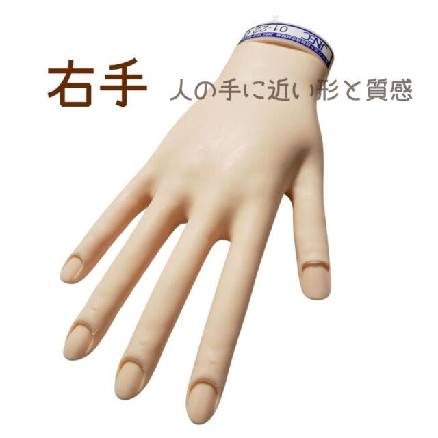 ネイリスト検定 練習 ハンド JNEC認定 滝川 STモデルハンドセット 右手