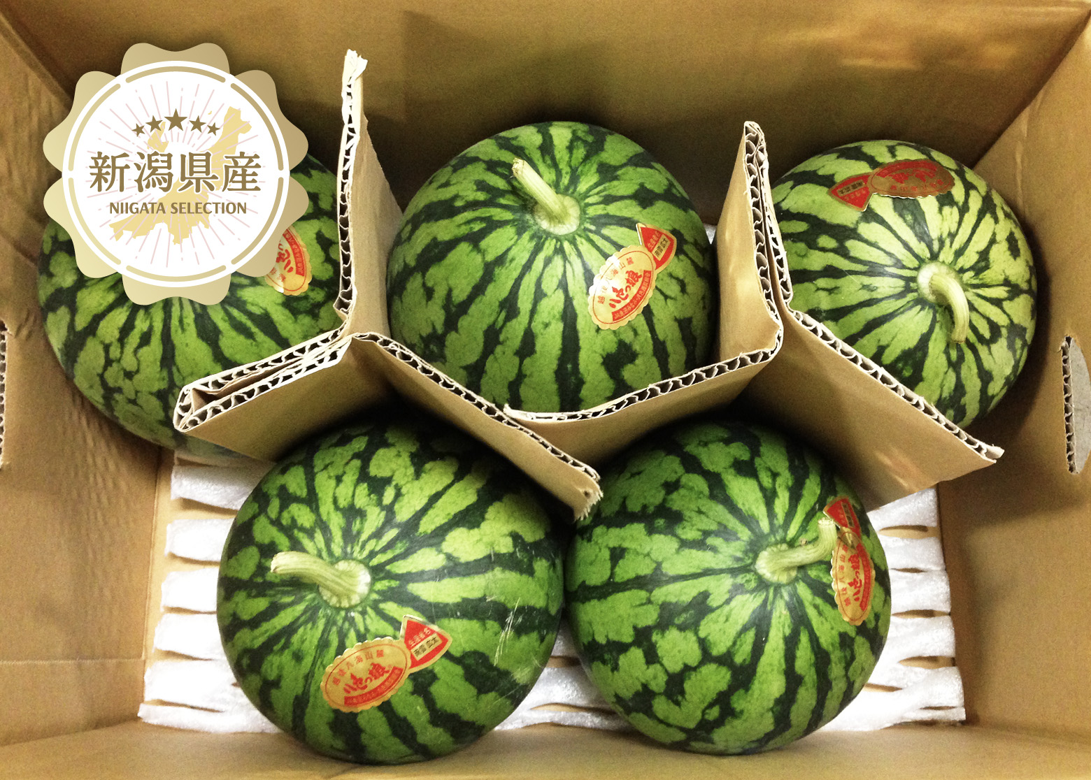 新潟青果市場「愛菜園倶楽部」｜新潟県 魚沼産 小玉西瓜【八色っ娘
