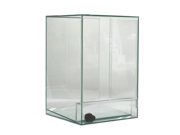 佐川急便発送・当日出荷14時まで・送料無料】Rain Forest パルダリウム