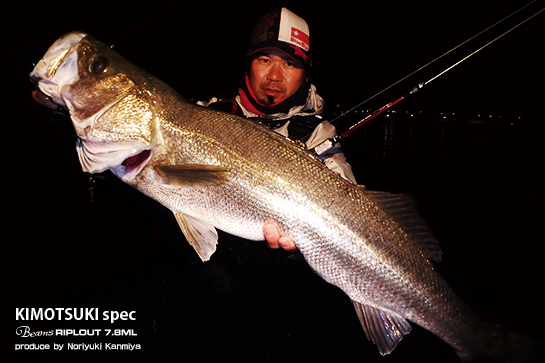 Fishman Beams RIPLOUT 7.8ML（ビームス リプラウト） 【シーバス