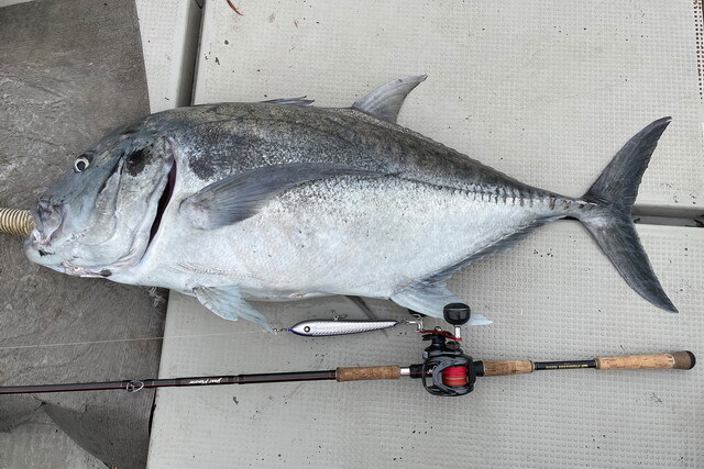 モンスターキス ディアモンスター MX-8+ 【シーバスルアー専門店