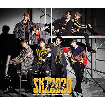 Stray Kids「SKZ2020」（通常盤）【2CD】