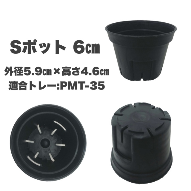 Sポット60 黒（ブラック） 6cm スリット鉢 プラ鉢 100個セット 多肉