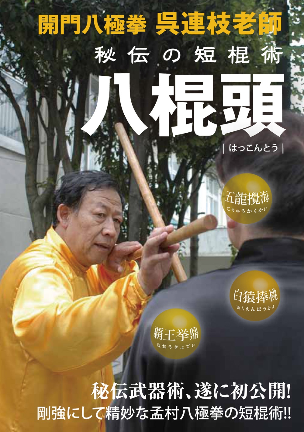 DVD 呉氏開門八極拳