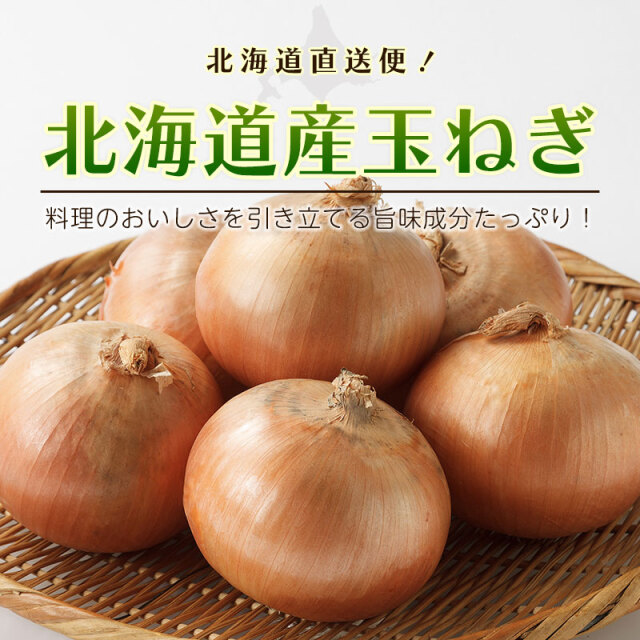 北海道 玉ねぎ 4kg 8kgLサイズ