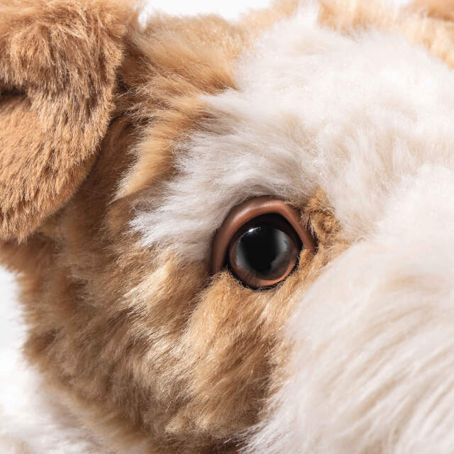 フォックステリアのフォクシー | ドイツ最高級テディベアのシュタイフ