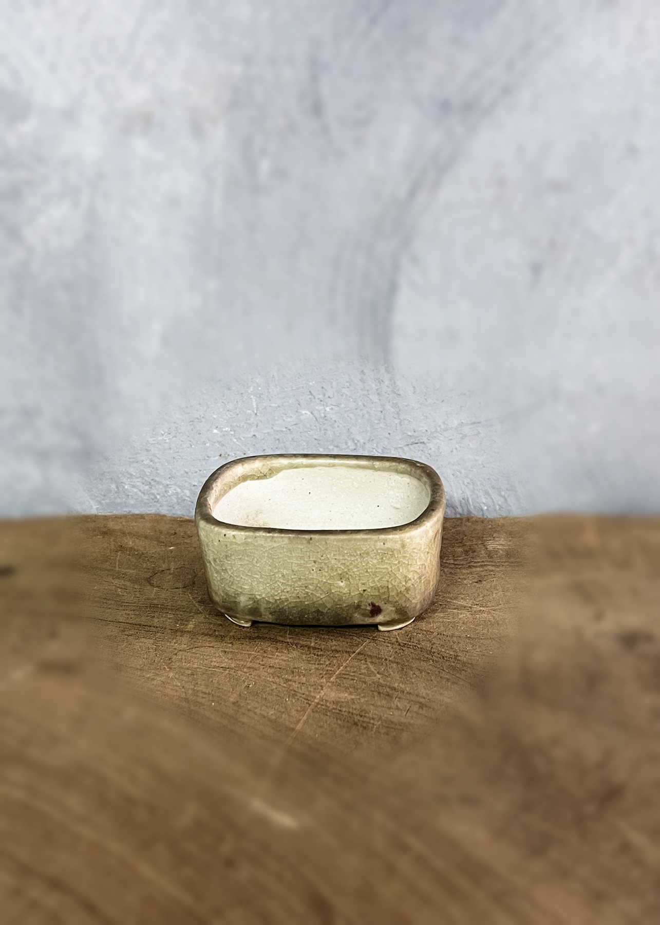 アンティークサムズコレクション姉妹店 古舫庵コレクション＞豆盆栽鉢