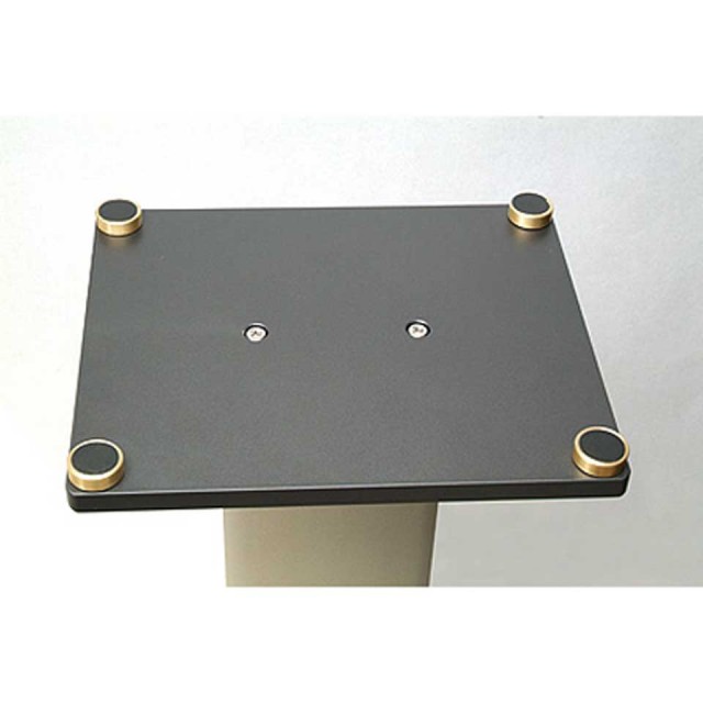 ACOUSTIC REVIVE/RSS-600