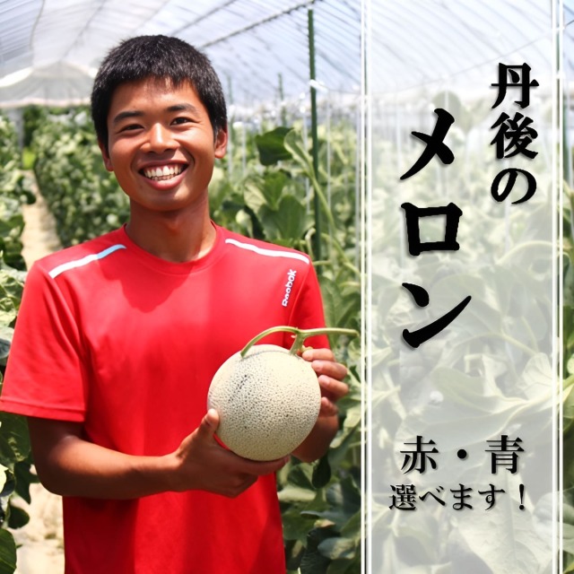 丹後久美浜の砂丘メロン（箱入り）｜丹後王国こだわり市場