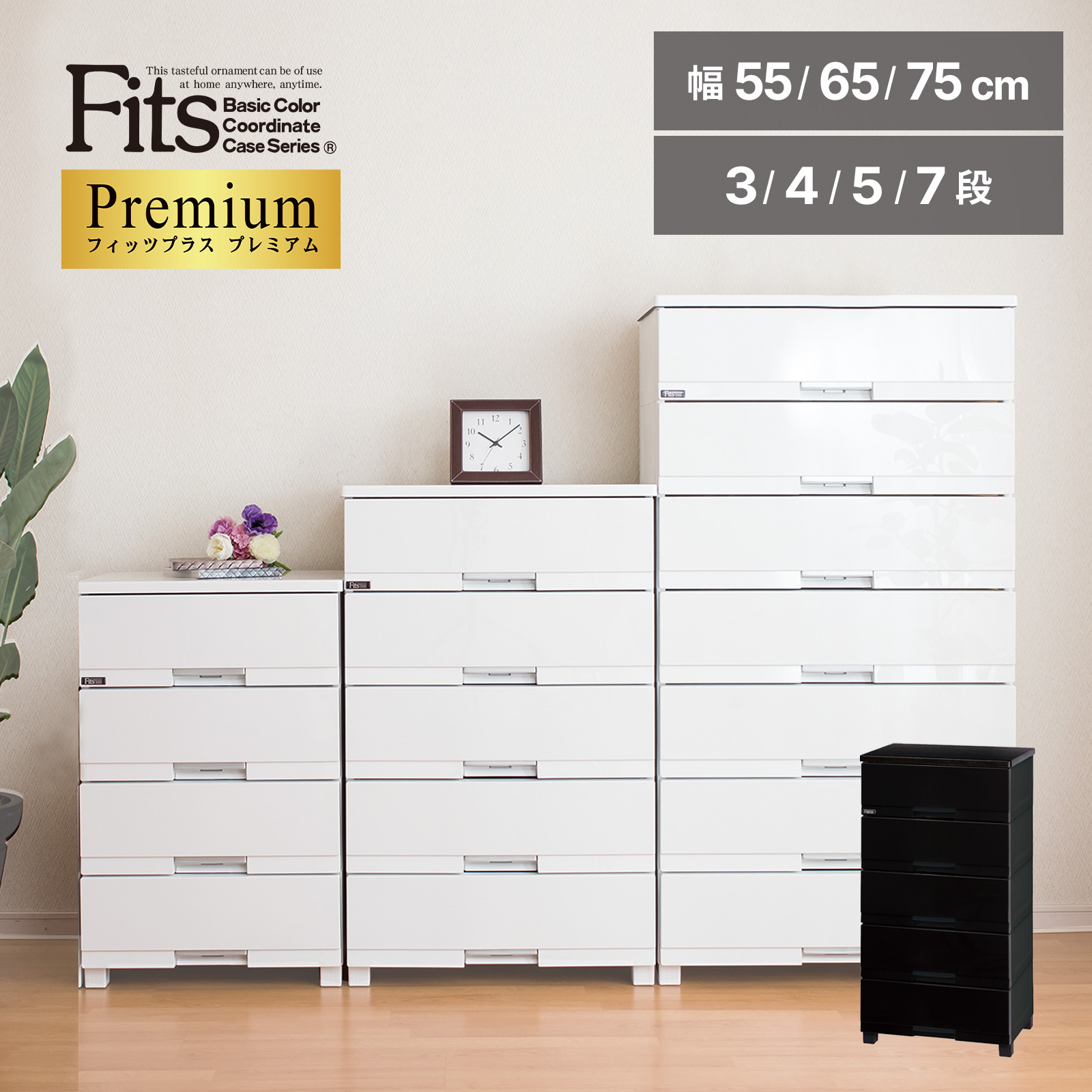 フィッツプラス プレミアム テンマフィッツワールド