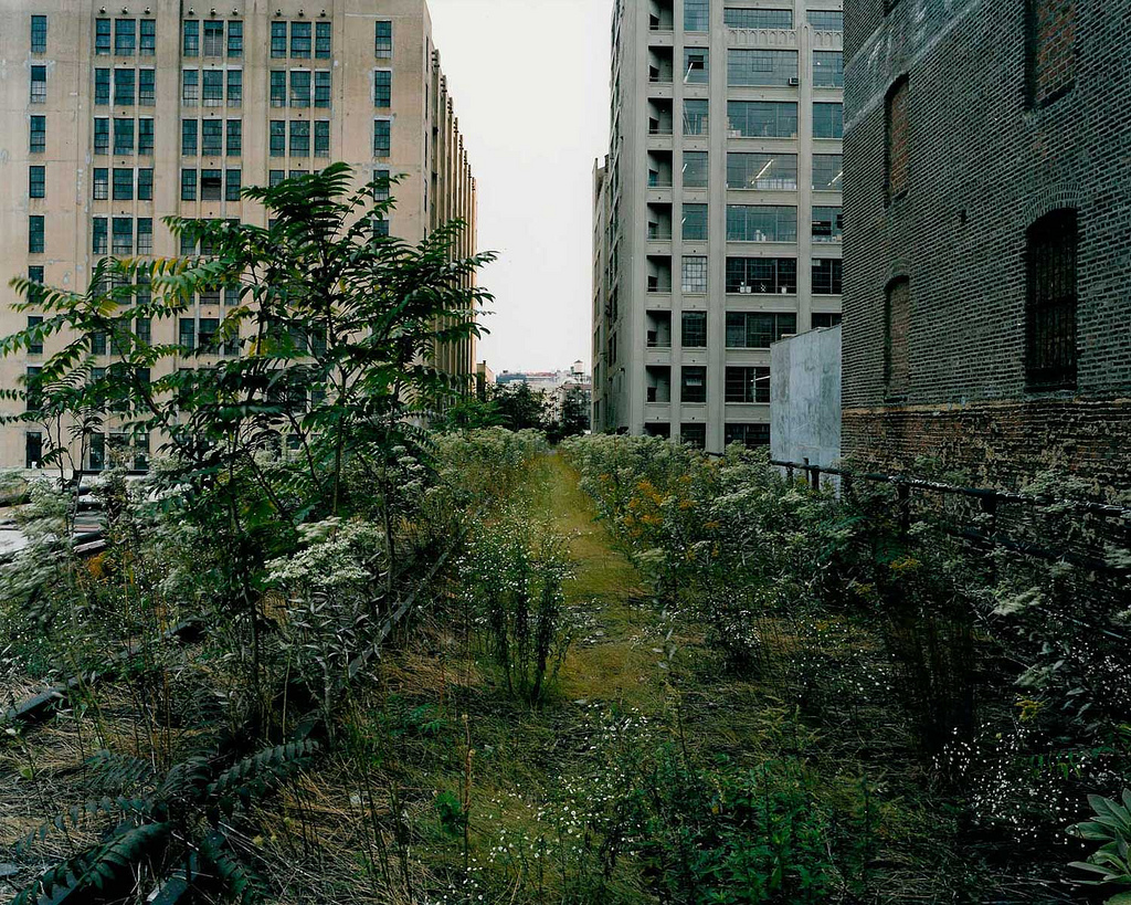 New York stories: walking the line | IMAGE OBJECT TEXT