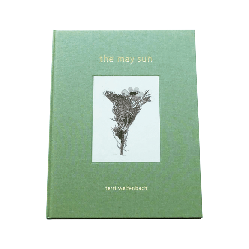 Terri Weifenbach: The may sun | Book Ernest