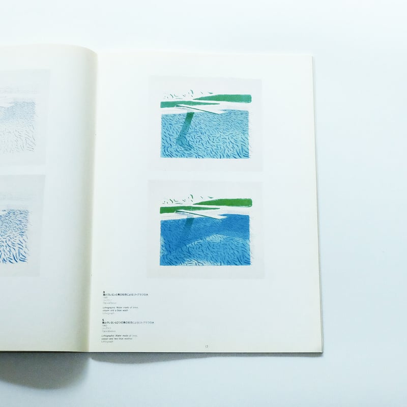 The Prints of David Hockney | Book Ernest