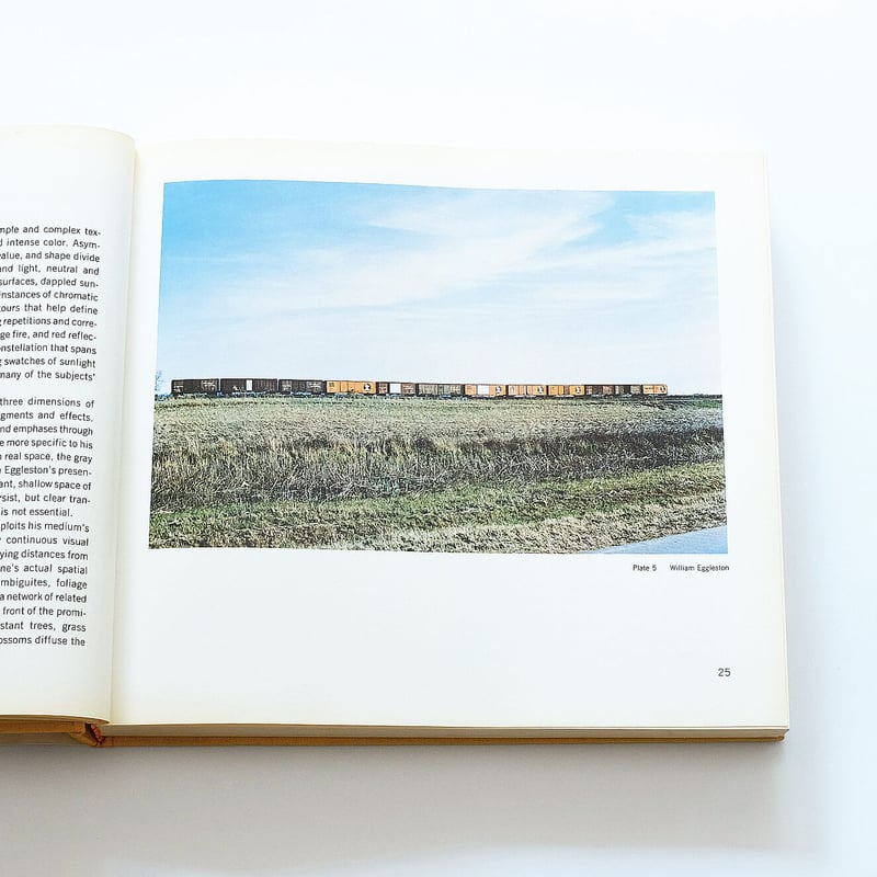 The New Color Photography | Book Ernest